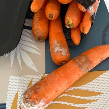 Migros Çürük Ürün Sorunu