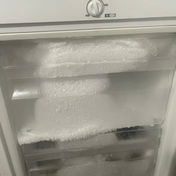 Uğur Derin Dondurucu Karlanma Sorunu