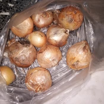 Şok Marketler Yönetilemeyen Cep Te Şok