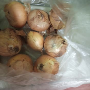 Şok Marketler Yönetilemeyen Cep Te Şok