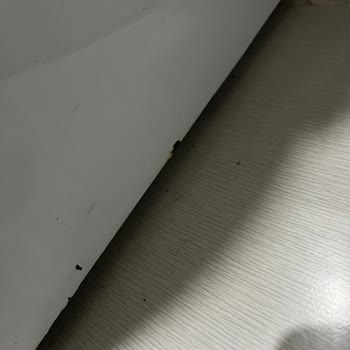 Profilo Çamaşır Makinesi Kaportası Paslanma Ve Boya Dökülmesi