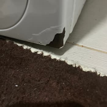 Profilo Çamaşır Makinesi Kaportası Paslanma Ve Boya Dökülmesi