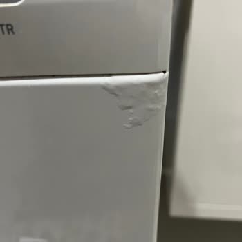 Profilo Çamaşır Makinesi Kaportası Paslanma Ve Boya Dökülmesi