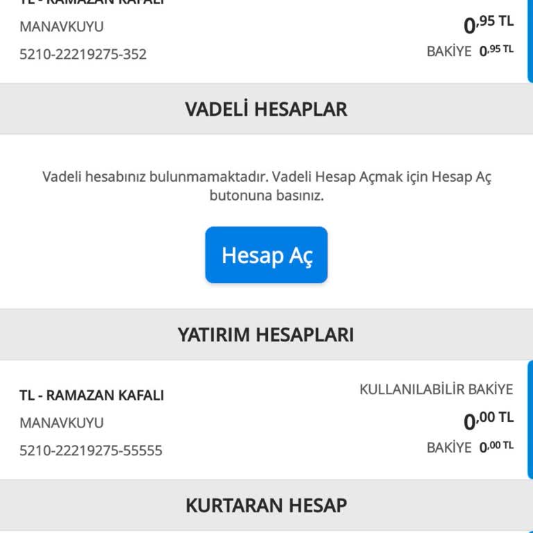 Denizbank Kurtaran Hesap Bakiye