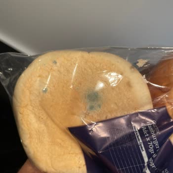 Migros'tan Aldığım Unabella Burger Ekmeğinin Hepsi Küflü Çıktı.