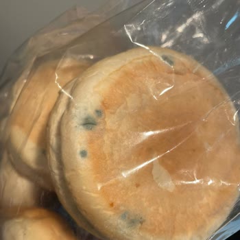 Migros'tan Aldığım Unabella Burger Ekmeğinin Hepsi Küflü Çıktı.