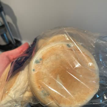 Migros'tan Aldığım Unabella Burger Ekmeğinin Hepsi Küflü Çıktı.