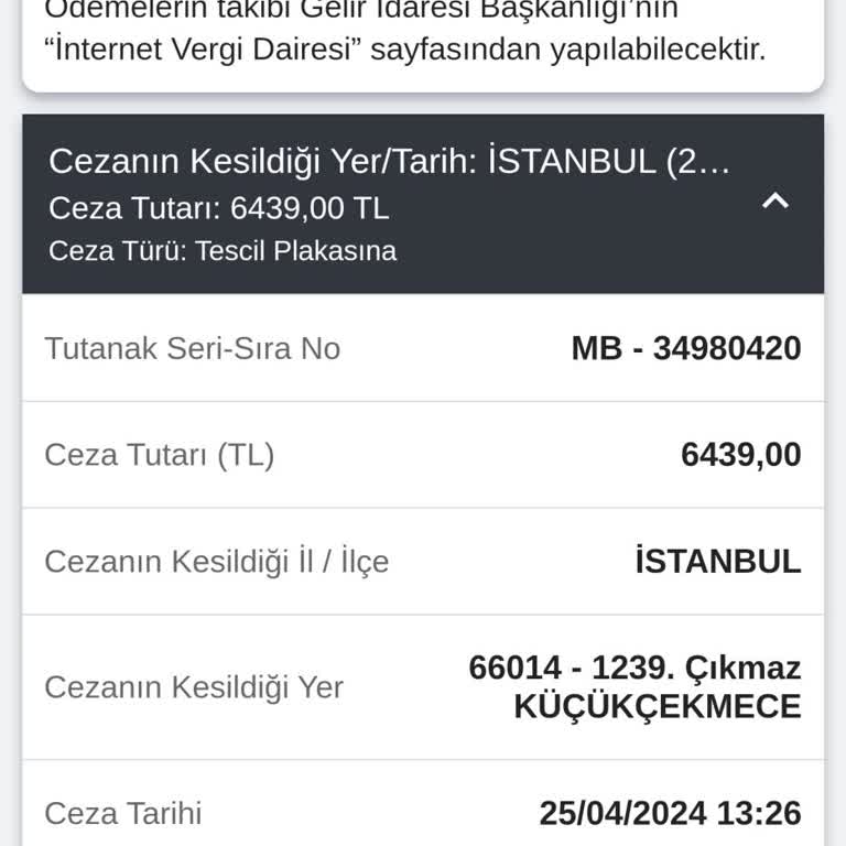 İBB - İstanbul Büyükşehir Belediyesi İstanbul Küçükçekmece 1239 Sokak Çıkmaz Yemiş Olduğum Ceza