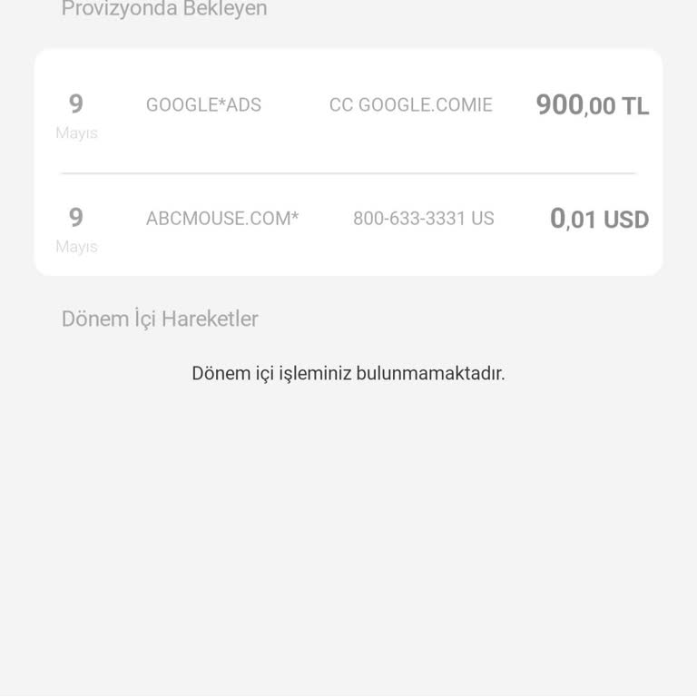 Google İade İstiyorum, Bilgim Dışında Çekim İşlemi