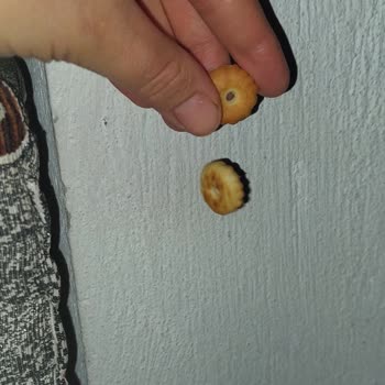 Karaman Bifa'da Hijyen Sorunu: Hediye Krakerlerde Kıl Buldum!