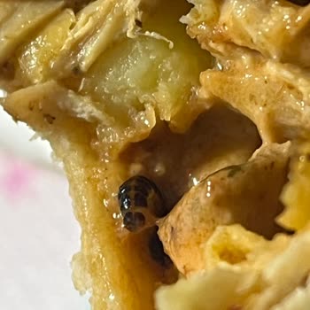 Etimesgut Öncü Döner'de Şaşırtan Misafir!