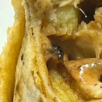 Etimesgut Öncü Döner'de Şaşırtan Misafir!