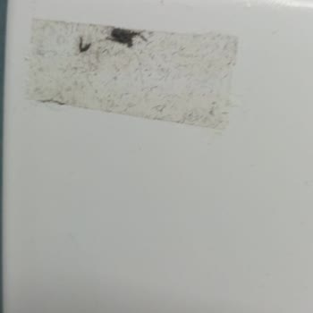 Samsung Çamaşır Makinesi Paslanma
