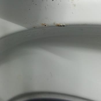 Samsung Çamaşır Makinesi Paslanma