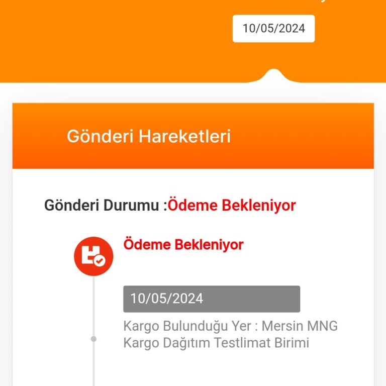 A101den Söylediğim Ürün MNG Kargo'ya Verilmiş