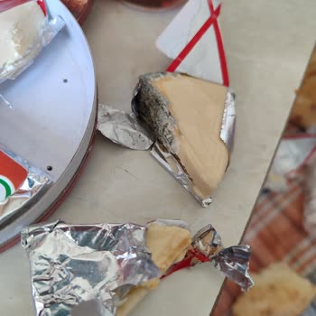 Pınar Et ve Süt Üçgen Peynirde Küf Sorunu