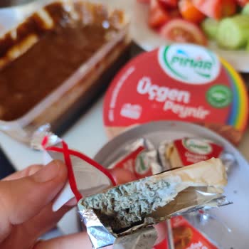 Pınar Et ve Süt Üçgen Peynirde Küf Sorunu