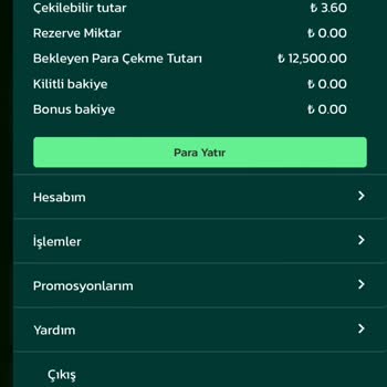 İntobet Bekleyen İşlemlerde Gözükmüyor Param
