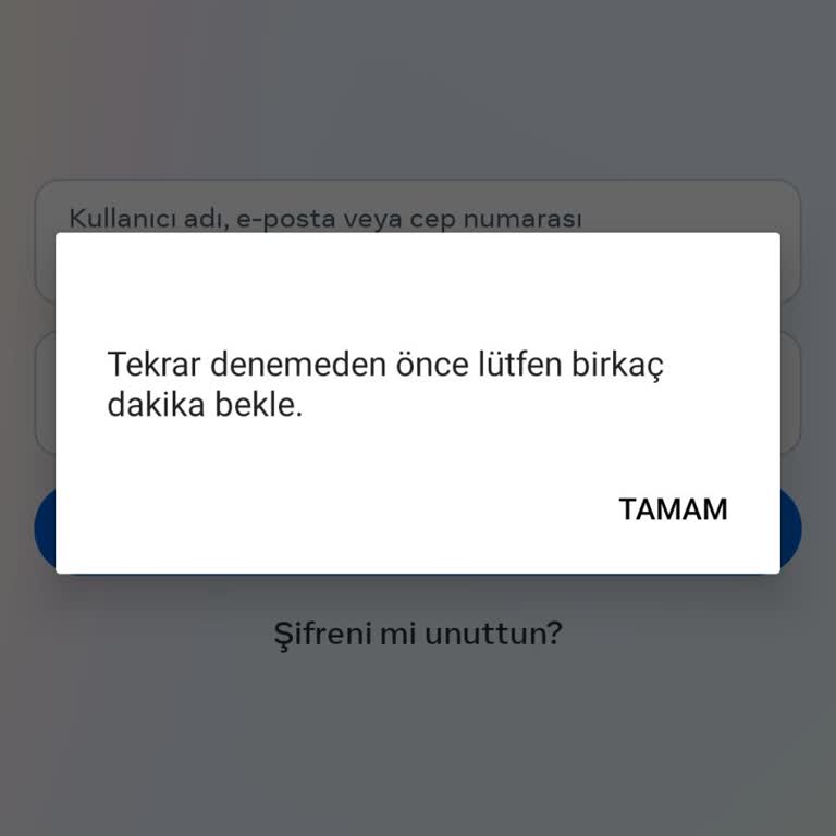 Instagram Hesabı Giriş Hatası