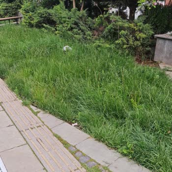 TCDD Sorumluluğundaki Hat Boyu Rezil Gibi Evsizlerin Mekani Olmuş