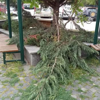 TCDD Sorumluluğundaki Hat Boyu Rezil Gibi Evsizlerin Mekani Olmuş