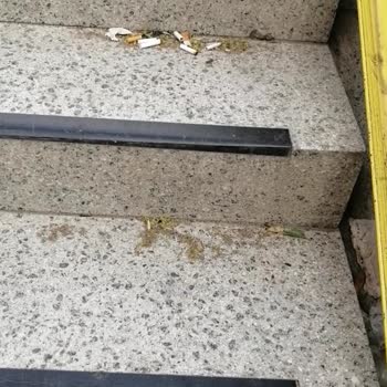 İzbanın Şikayetlere Geri Dönmemesi Ve İstasyonun Pislik İçinde Olması