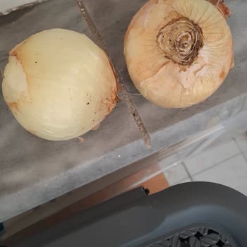 Carrefour SA Online Siparişleri Şikayetçiyim