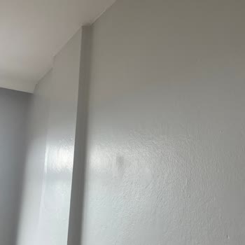 Dyo Marka Dingin Gri Mavi Görünüyor
