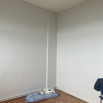 Dyo Marka Dingin Gri Mavi Görünüyor