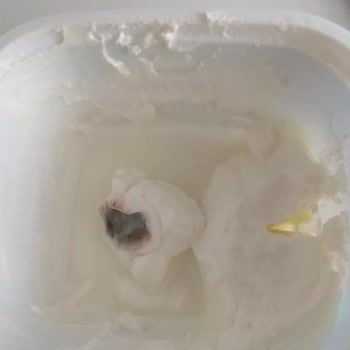 Küflenmiş Sütaş Süzme Yoğurt