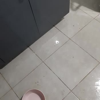 Windsor Beyaz Eşya Servis Hizmetinde Yaşanan Sorunlar