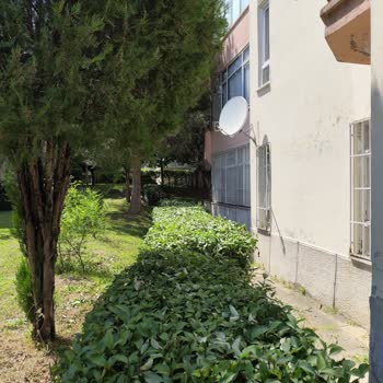 Armut.com Haksızlıklara Karşı Destek Çıkıyor.