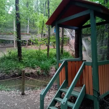 Forest Kemerburgaz Uyarısız Ekipman Alındı