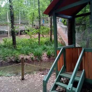 Forest Kemerburgaz Uyarısız Ekipman Alındı