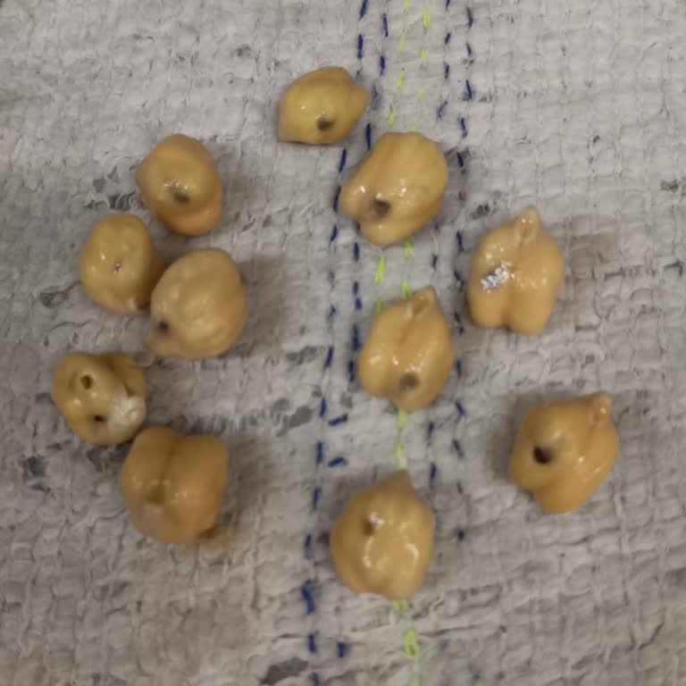 BİM Böcekli Ürün Satıyor