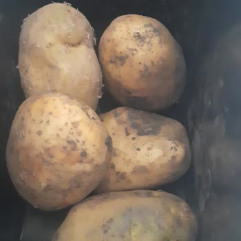 Çağdaş Market Çalışan Azlığı