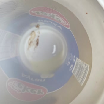 Eker Ayran İçinden Kahverengi Şeyler Vardı