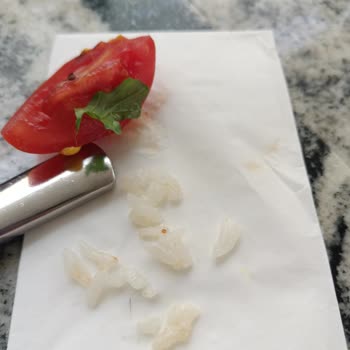 Sütbeyaz Brasserie Antalya Terracity AVM Salatada Çıkan Salyangoz