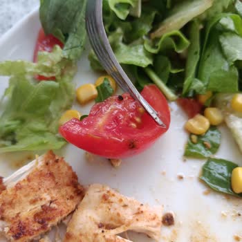 Sütbeyaz Brasserie Antalya Terracity AVM Salatada Çıkan Salyangoz