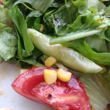 Sütbeyaz Brasserie Antalya Terracity AVM Salatada Çıkan Salyangoz