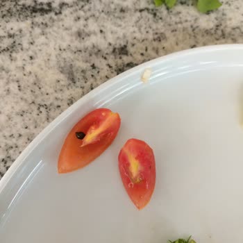 Sütbeyaz Brasserie Antalya Terracity AVM Salatada Çıkan Salyangoz