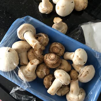 BİM Paketlenmiş Mantarlarda Kalite Sorunu