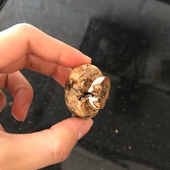 BİM Paketlenmiş Mantarlarda Kalite Sorunu