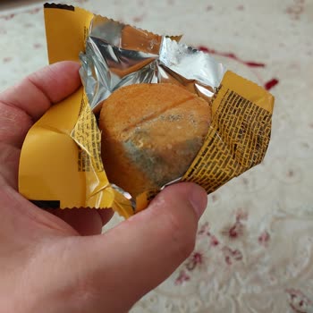 Torku Kokmuş Kek Favorimo Kek