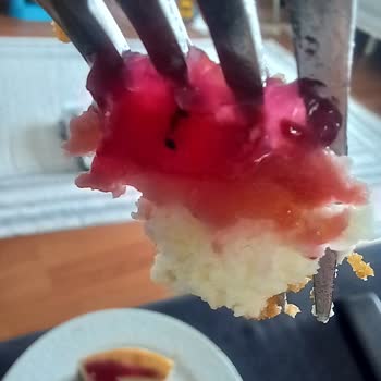 BİM Aldığım Cheesecakden Karınca Çıktı