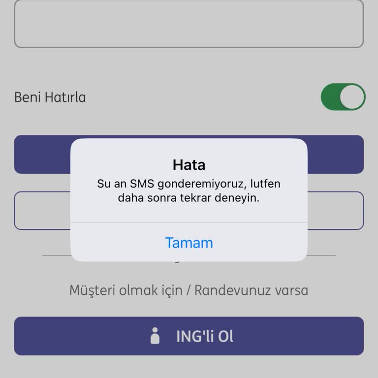 ING Uygulama Girişi Sorunu