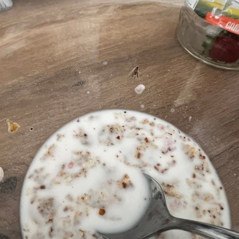 Nesfit Kurumuş Sinek Vakası