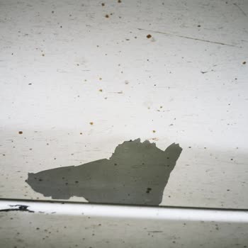 Hyundai Assan Boya Atması Kronik Sorun