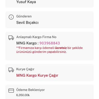 Roborock Markalı Ürünüm Servis Mağduriyeti, Geri Gelmeyen Robotum