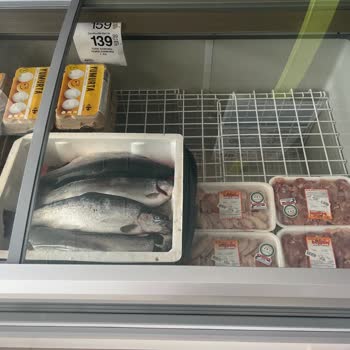 Akdeniz Elektrik Dağıtım Elektrik Kesintisi Yüzünden Yaşanan Mağduriyet